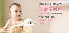 卵巢囊肿难怀孕怎么办