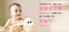 冷冻胚胎适用于哪些情况