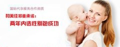 供L试管需要多少费用