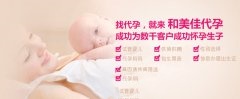 试管婴儿代妈可以做几次？